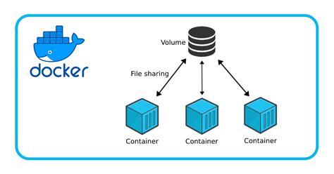 docker volume permissions 777.